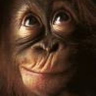 AnimalLover