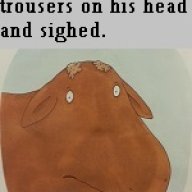 WoundedMuse