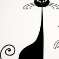 sophiemaecat