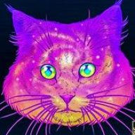 mooncat