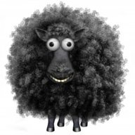 Mrs B Sheep