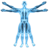 Biomechanist