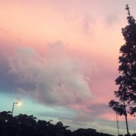 PastelpinkPuppy