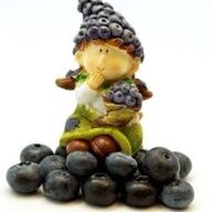 Blueberries for me