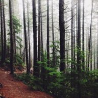 ForestPath