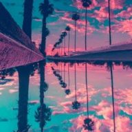 Infinfj66