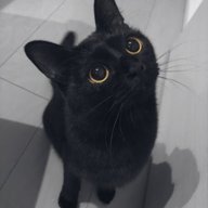 hermeowne