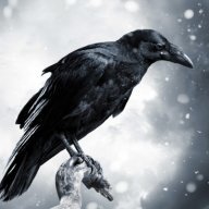 Hollow Raven
