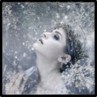 snowglobe