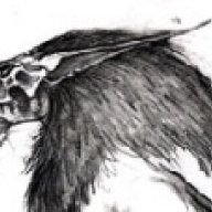 sagewolf