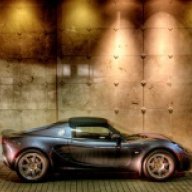 Lotus Blossom