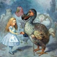 Flightless Bird