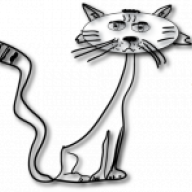 Noocat