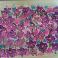 NYLilac