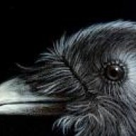 SilverRvn