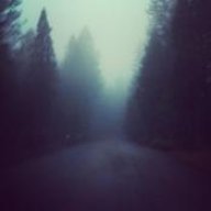 Mist