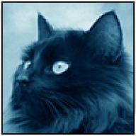Boreal