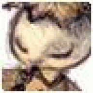 idiosyEnquino