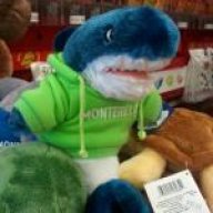 Jay Sharky
