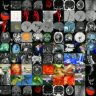IloveNeuroscience