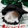 Moxie