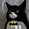 iHeartCats
