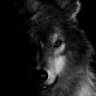 Wolfskillian