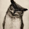 Night Owl