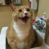 test2