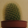 iownacactus