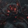 Roses In The Vineyard