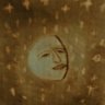 WaningGibbous Moon