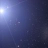 CorLeonis