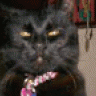 GracieRuth