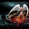 Rex_morningstar