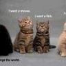 Kitty Ning Sta
