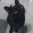 hermeowne