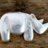 rhino