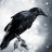 Hollow Raven