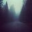 Mist