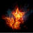 safireau