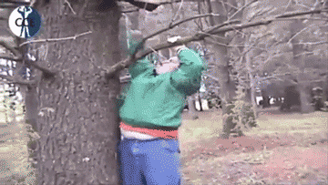 vmHa3Pd.gif