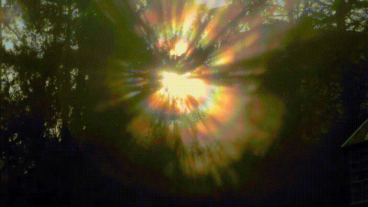 giphy.gif