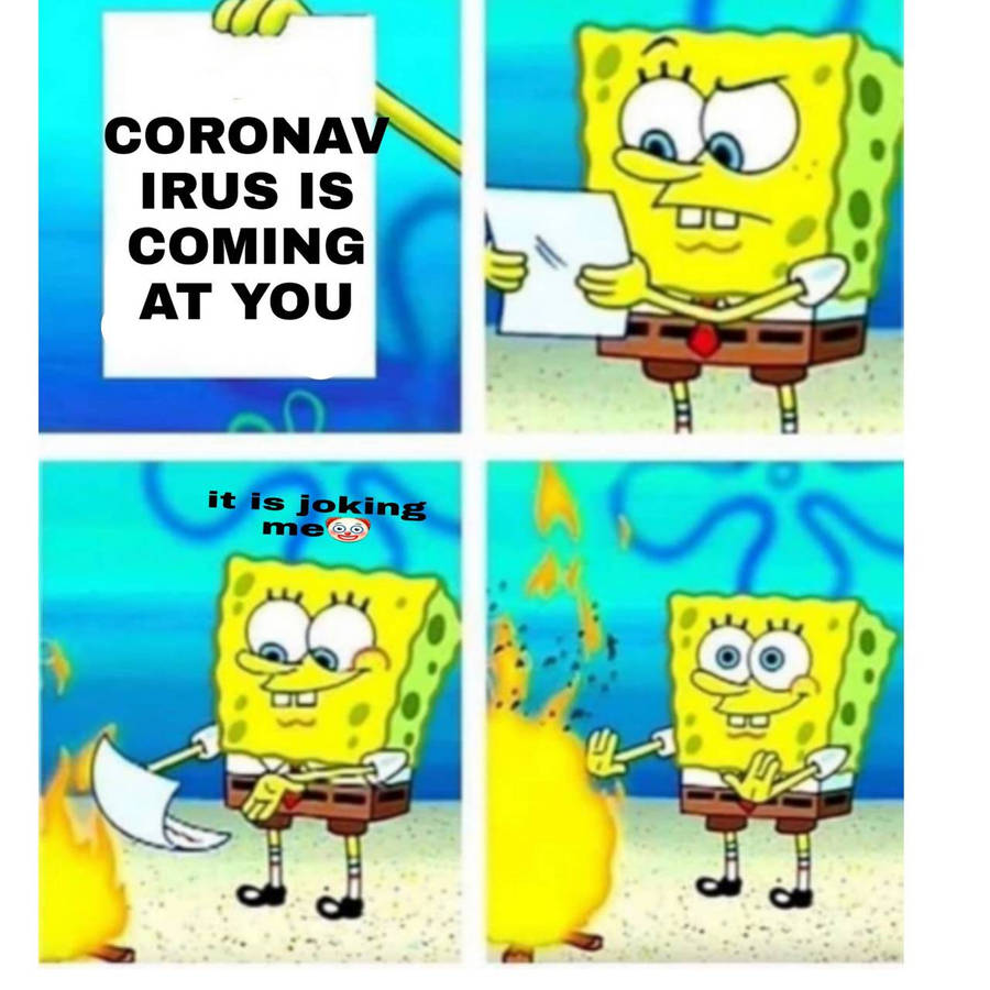 56435252.jpg