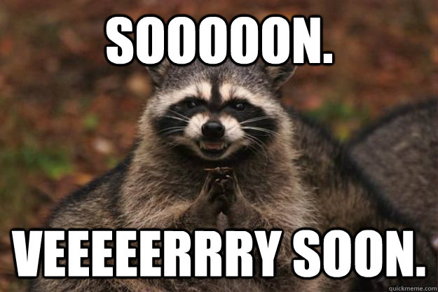SoonRacoon.jpg