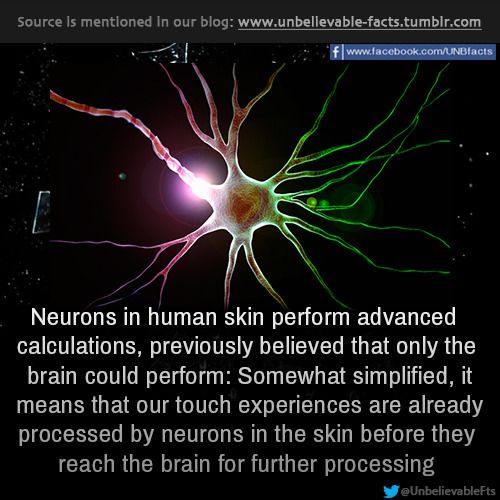 f4206fd911b2fdad493534d1c58ec8c4.jpg