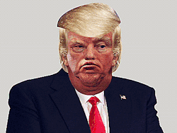 tumblr_p5powrmHh51qclsj2o1_250.gif