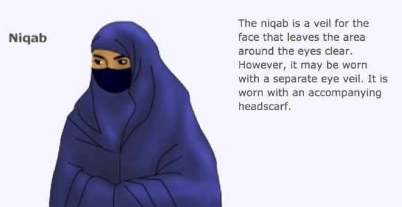muslim_headscarves2_niqab.jpg