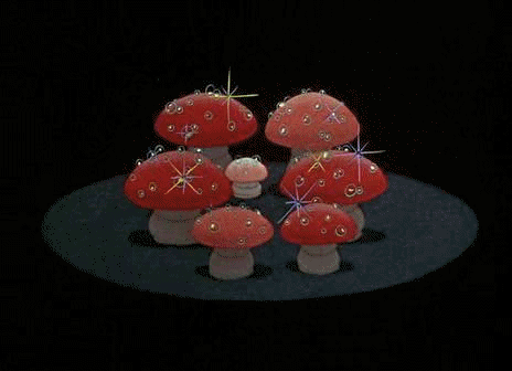 tumblr_mokgi11biU1rmi3mxo2_500.gif