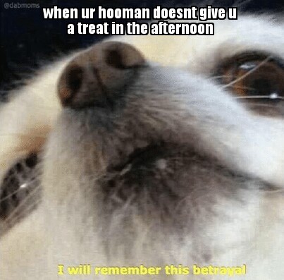 58e6c6df15b40.jpeg